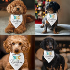 Soon to Be Big Brother 2026 Dog Bandanas Pregnancy Announcement Big Brother White Pet Apparel Bandana Gender Reveal Photo Prop Accessories for Dog Lovers Owner Gift