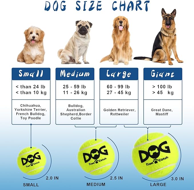 Squeaky Tennis Balls for Dogs - 12 Pack 2.5'' Durable Non-Toxic Outdoor Dog Toys Balls with Mesh Bag, SGS Certified, Colorful Fetch Toys, Medium Large Breeds