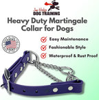 Martingale Collar for Dogs, Biothane, Stainless Steel Hardware, No Pull, Made in The USA, Professional Grade, XXS, Purple