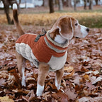 Lelepet Dog Coat Warm Dog Winter Coat Waterproof Dogs Jacket with Harness Built in Reflective Pet Fleece Vest Zip-Up Cold Weather Coats for Medium Dogs Turtleneck & Windproof Coats Dachshund Brown M