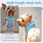 rabbitgoo Dog Harness Small Medium Sized and Leash Set, Step in Soft Light Puppy Vest, Breathable Mesh Pet Harness, Reflective for Safe Easy Walking, Blue L