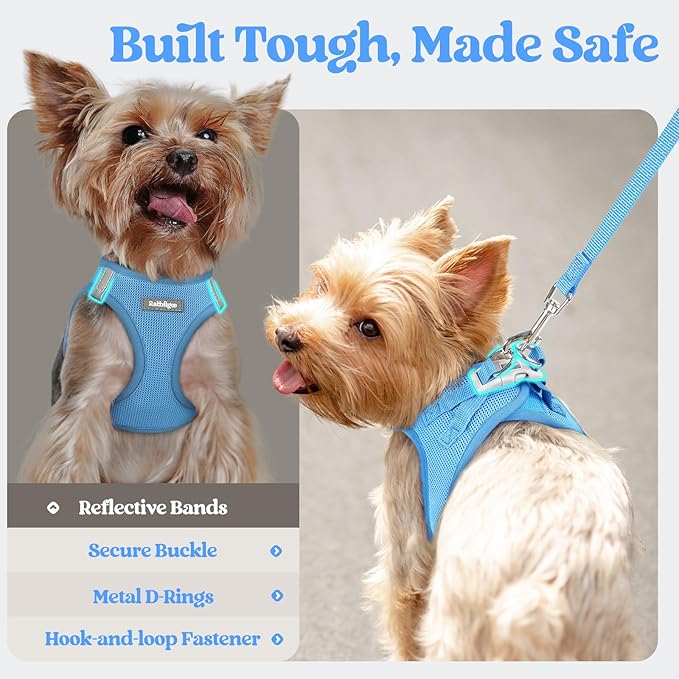 rabbitgoo Dog Harness Small Sized and Leash Set, Step in Soft Light Puppy Vest, Breathable Mesh Pet Harness, Reflective for Safe Easy Walking, Blue XXXS