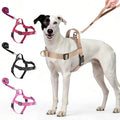 Annchwool No Pull Dog Harness with Front Clip and Easy Control Handle-Belly & Chest Adjustable Dog Harness and Leash Set for Medium Large Dogs-Heavy Duty Vest Harnesses Easy for Walking(Brown,L)