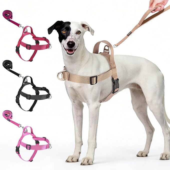Annchwool No Pull Dog Harness with Front Clip and Easy Control Handle-Belly & Chest Adjustable Dog Harness and Leash Set for Small Medium Dogs-Heavy Duty Vest Harnesses Easy for Walking(Brown,S)