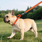 Martingale Collar for Dogs with Quick Release Buckle, Reflective Soft Padded & Escape Proof, Adjustable Nylon Dog Collars for Training & Daily Walking (Orange,S)