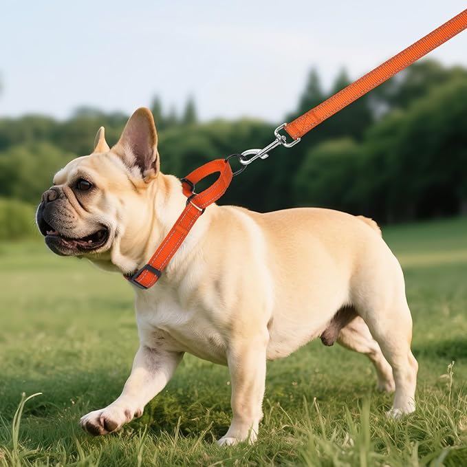Martingale Collar for Dogs with Quick Release Buckle, Reflective Soft Padded & Escape Proof, Adjustable Nylon Dog Collars for Training & Daily Walking (Orange,S)