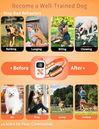PaiPaitek 2-in-1 Dog Bark Collar and Shock Collar with Remote 3300ft Range - 5 Adjustable Sensitivity Levels, IP67 Waterproof Training Collar for Small, Medium, and Large Dogs (5-120 lbs)
