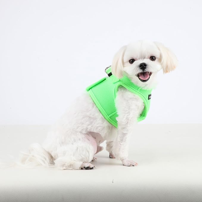 Puppia Neon Soft Vest Harness Step-in No Choke No Pull Walking Training for Small and Medium Dog, Pink, Medium