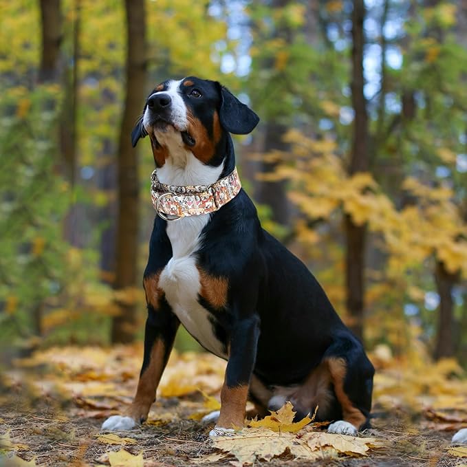 1.5 Inch Wide Dog Collar - No Pull Martingale Collar for Large Dogs, Heavy Duty Adjustable Training Collar for Medium, Large & XL Dogs(Cute Dog L)