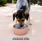 Simple Modern Stainless Steel Pet Water Bowl for Dogs & Cats | Reusable Insulated Stainless Steel Food Bowls for Dog Cat | No Tip No Slip BPA Free | Bentley Collection | Medium (32oz) | Winter White