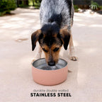 Simple Modern Stainless Steel Pet Water Bowl for Dogs & Cats | Reusable Insulated Stainless Steel Food Bowls for Dog Cat | No Tip No Slip BPA Free | Bentley Collection | Large (64oz) | Riptide