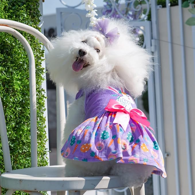 CuteBone White Rabbit Dog Easter Dress Velvet for Small Dogs Girl Eggs Skirt Puppy Purple Dresses Dog Clothes CVA19XXS-D