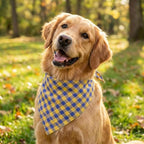 Dog Bandanas 1 Pack; Cotton Linen Yellow Plaid Bandana for Large Dogs; Soft Breathable Dog Accessories; Daily Dog Apparel & Accessories