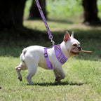 PUPTECK Soft Mesh Dog Harness and Leash Set Pet Puppy Cat Comfort Padded Vest No Pull Harnesses, Purple, S