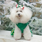 CuteBone St.Patrick's Day Dog Green Dress Velvet for Small Dogs Girl Puppy Dresses Clover Dog Clothes CVA13S-D