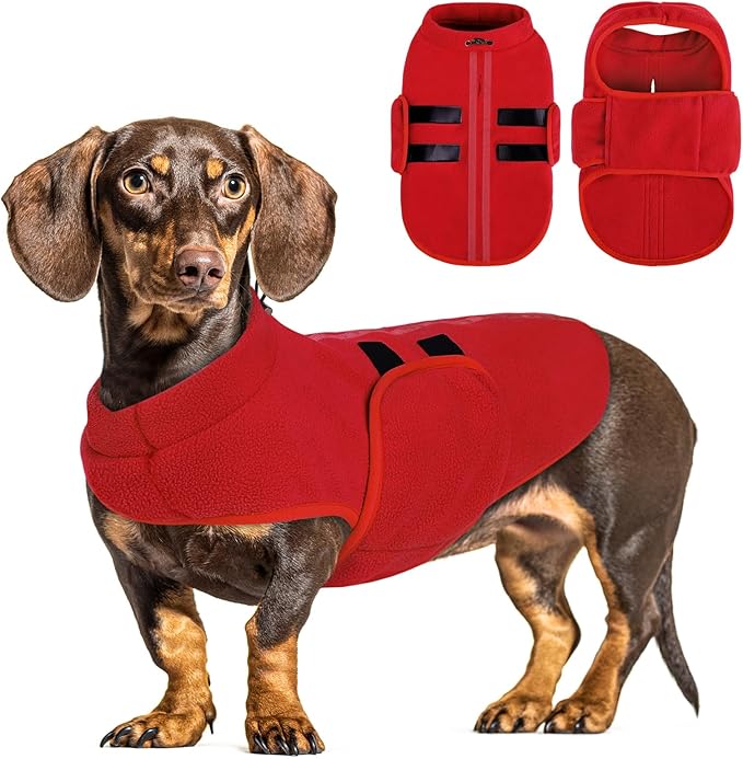 Queenmore Soft Fleece Dog Jacket, Warm Winter Dog Clothes with Leash Hole, Dachshund Sweater for Small Dogs Cats Boy or Girl (Red, XS)