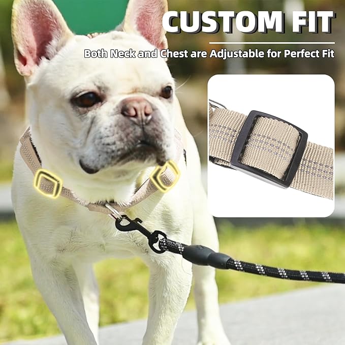 PUPTECK No Pull Dog Harness Small Sized Dog, Adjustable Reflective Pet Vest Harness with Bungee Handle, Escape Proof No Choke Harness for Small Dogs Walking Training, Beige S