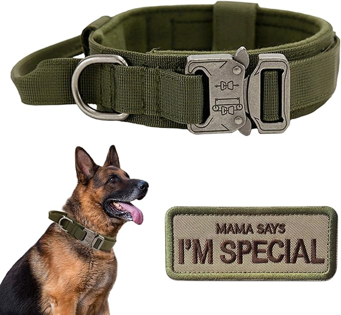 Tactical Dog Collar with Handle - Military Adjustable Dog Training Collar Soft Nylon and Heavy Duty Metal Buckle for Medium Large Dogs - with Patch (Green, Large)