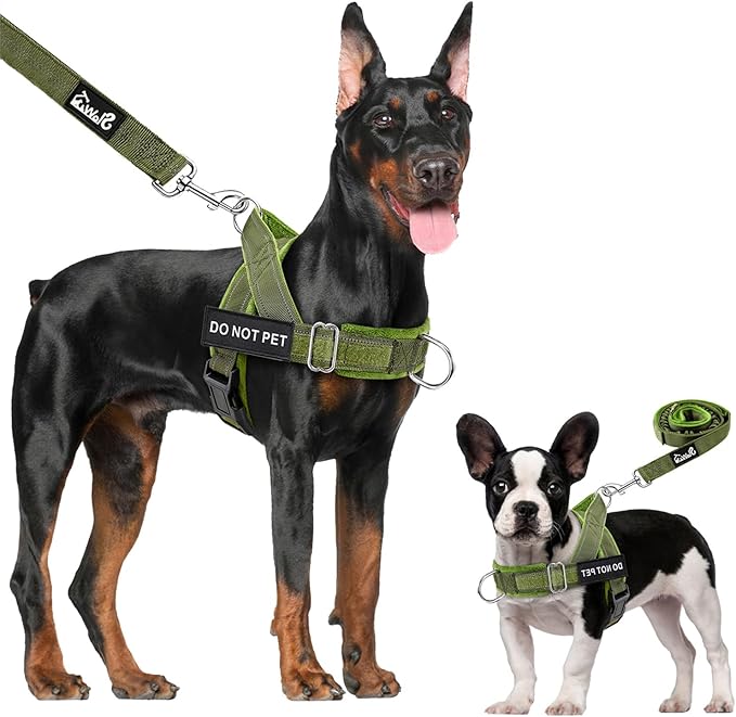 Lukovee No Pull Dog Harness & Leash Set - Heavy Duty Dog Vest Harness with Soft Padded for Medium Large Dogs, Adjustable Reflective Tactical Pet Harness for Easy Walk and Training (M, Green)