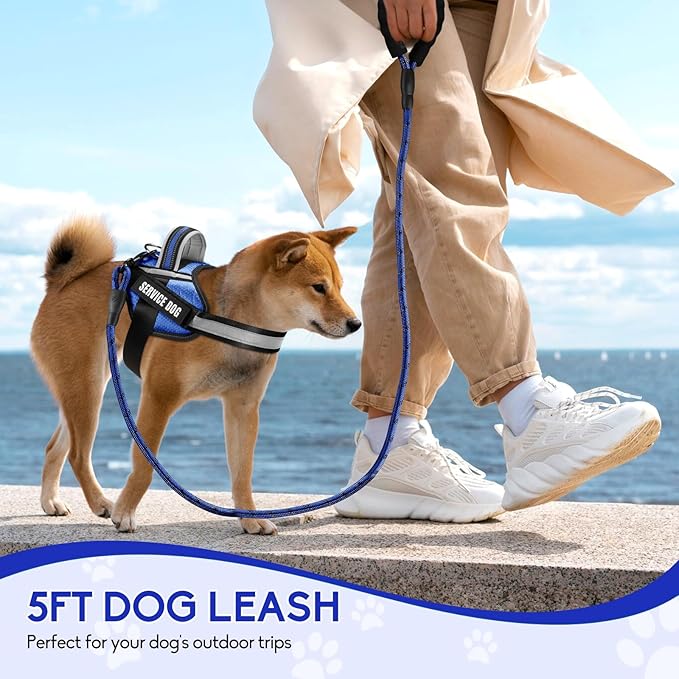 Service Dog Vest Harness and Leash Set, Animire in Training Dog Harness with 10 Dog Patches, Reflective Dog Leash with Handle for Small, Medium, Large, and Extra-Large Dogs (Blue,XL)