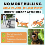 Supet Dog Training Collar, Adjustable Dog Training Collar with Buckle for Small Medium Large Dogs(Packed with One Extra Links)