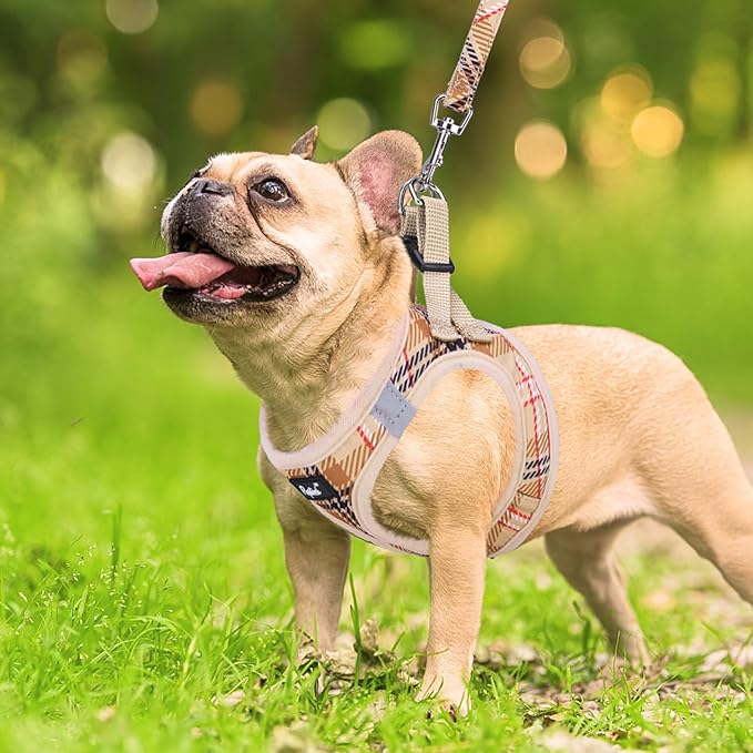 PUPTECK Dog Harness and Leash Set for Small Medium Dogs No Pull Step-in Soft Mesh Puppy Cat Vest Harnesses Reflective at Night, Plaid Pattern Beige M