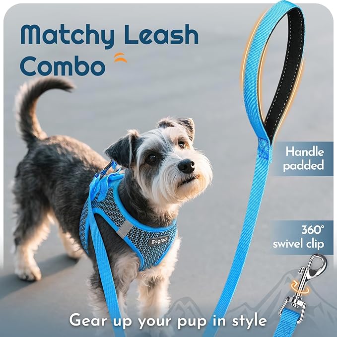 Eagloo Small Dog Harness and Leash Set, Step in Puppy Vest with Breathable Soft Mesh, Walking Reflective Pet Harness for Medium Small Dogs, Blue, L