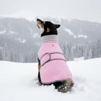 Dog Coat 2 Pack, Turtleneck Fleece Pet Winter Jacket for Cold Weather, Warm Dog Clothes Sweater Outdoor Indoor for Small, Medium, Large & XL Dogs (M-XXL)