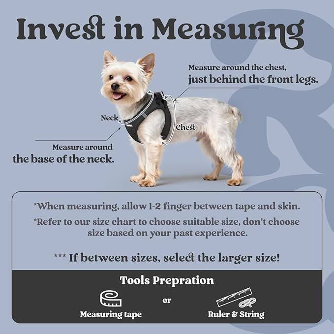 rabbitgoo Small Dog Harness, Step-in Soft Mesh Puppy Vest with Safety Buckle, Breathable Reflective Pet Harness for Small Medium Dogs, Black XL