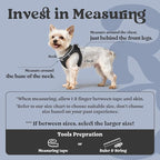 rabbitgoo Small Dog Harness, Step-in Soft Mesh Puppy Vest with Safety Buckle, Breathable Reflective Pet Harness for Small Medium Dogs, Black L