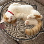 Personalized Cat Scratcher Mat, Customized with Name Text Natural Cotton Rope Round Horizontal Cat Scratching Pads with Ball Toy, Cat Furniture Protector for Wall, Couch, Carpets, Sofa (Chocalate)