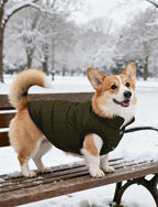 AURUZA Dog Winter Coat, Warm Waterproof Dogs Jacket Small Pet Vest for Medium Dogs Windproof Pet Fleece Vest Snow Jacket for Cold Weather(Army Green,XXL)