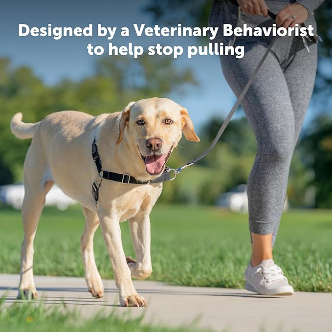 PetSafe Easy Walk Harness for Dogs - Pull-Free Walks - Patented Martingale Loop Design - Front Chest Leash Attachment - Comfort Straps - Breathable Harness Design - Small/Medium, Royal Blue/Navy Blue