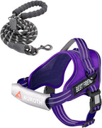 AUROTH Dog Harness and Leash Set, Soft Padded Service Dog Vest with 5.25FT Dog Leash, No Choke, Easy On Pet Vest, Adjustable Reflective No Pull Dog Harness Small Sized Dog, Easy Walking and Training