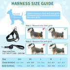 SlowTon No Pull Small Dog Harness and Leash Set, Puppy Soft Vest Harness Neck & Chest Adjustable, Reflective Lightweight Harness & Anti-Twist Pet Lead Combo for Small Medium Dogs (Black, XXS)