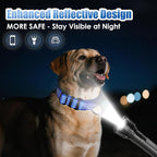 Martingale Collar for Dogs, Adjustable Soft Nylon Dog Collars with Special Design Cute Patterns (Blue, S (1" x 12"-15.8"))
