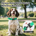 Joytale Tactical Dog Collar for Medium Dogs with Control Handle, Heavy Duty Military Training Collar for Power Breeds, AirTag Holder Case, Quick Release Metal Buckle, Soft Padded, M, Teal