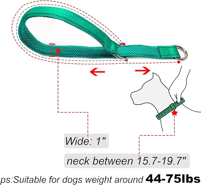 Reflective Slip Dog Collar, Loop Dog Collar for 44-75 lbs Dogs Nylon Collars with Soft Padded for Pet Training– Turquoise, 1" W x 22" L (Fits Neck 15.7"-19.7")