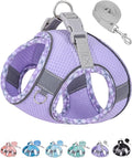 Petank Dog Harness for Small Medium Dogs No Pull, Puppy Harness and Leash Set, Step in Dog Harness for Walking, Running, Training, Small Dog Vest, Medium Dog Vest (Purple, XXS)