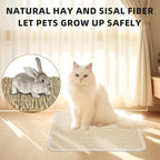 4 Pcs Rabbit Scratcher Mat, Rabbit Grass Mats for Rabbits Cage Accessories, Natural Sisal Cat Rabbit Scratching Pad, Natural Hay Woven Bed Mat for Bunny Cats Guinea Pig