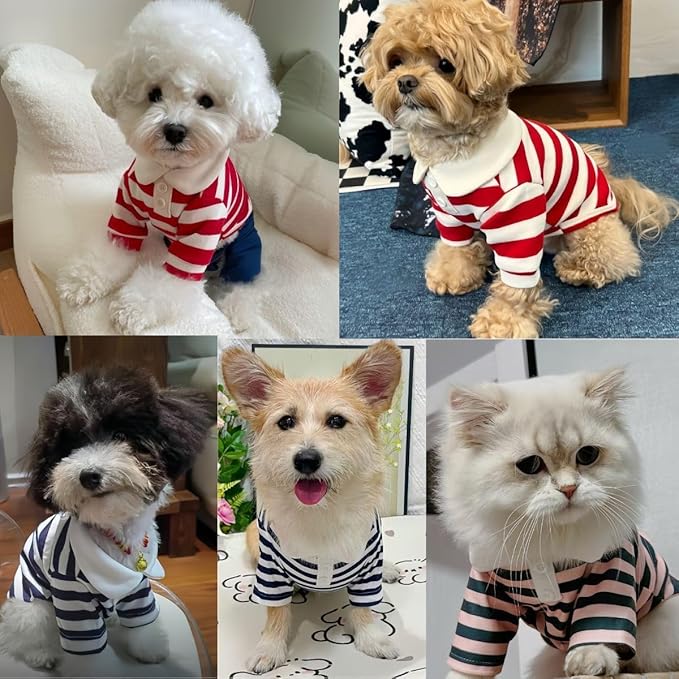 MANON ROSA Dog Clothes, Designer Boy Polo Shirt for Small Medium Dogs, Soft Puppy Outfit, Breathable Male Yorkie Chihuahua Shih Tzu Poodle Kitten Cat T-Shirt, Birthday Gifts - Red, M, Fit 5.5-8.8lbs