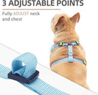 PUPTECK Small Dog Harness and Leash Set, No Pull Adjustable Puppy Cat Harness, Reflective Soft Mesh Pet Vest Small Sized, American Style, M