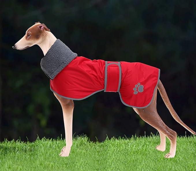 Geyecete Dog Winter Coat Greyhound Raincoat Fabric with Lamb Velvet Inside Outdoor Dog Apparel with Adjustable Bands for Medium, Large Dog-Red-XXL