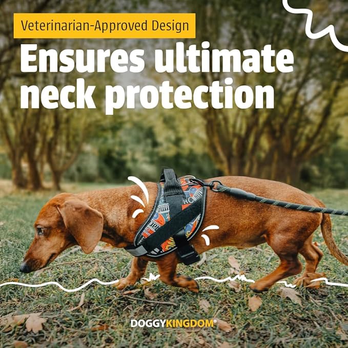 Dog Harness with Patch Panels, No Choke, Reflective, Adjustable, Soft Padded Dog Vest Harness with Easy Control Handle for Small Size Dog, US Flag, S