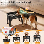 URPOWER Mess Proof Elevated Dog Bowls, High Wall Splash Guard Design, 4 Height Adjustable Raised Bowl Stand, 2 Stainless Steel Bowls, Non-Slip Food Water Set for Small Medium Large Dogs