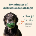 WOOF Starter Pack - Interactive Dog Ball Toy for Boredom - Dog Treat Molds Silicone - Chicken-Flavored Healthy Treats for Dogs - Pupsicle Doggy Enrichment Toy - for XL Pups - 75+ lbs