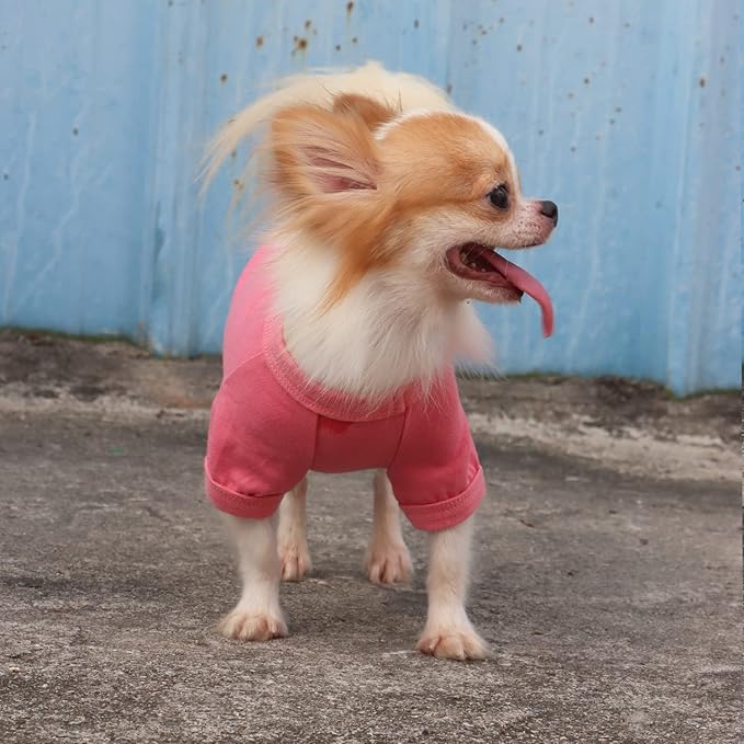 LOPHIPETS 100% Cotton Dog Tee Shirt for Small Dogs Chihuahua Puppy Clothes-Pink/XL
