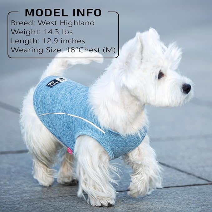 KYEESE 2Pack Reflective Dog Shirt, Lightweight Sun Protection Dog T Shirts for Small Dogs Boy, Breathable Sleeveless Pet Tank Top Summer Dogs Clothes for Night Walking Outdoor, Grey+Blue, L