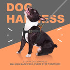 Didog Step in Dog Harness with Metal Buckles, Freedom Nylon Dog Halter Vests for Small Dogs Easy Walking Training(S:Chest 13-22", Black)