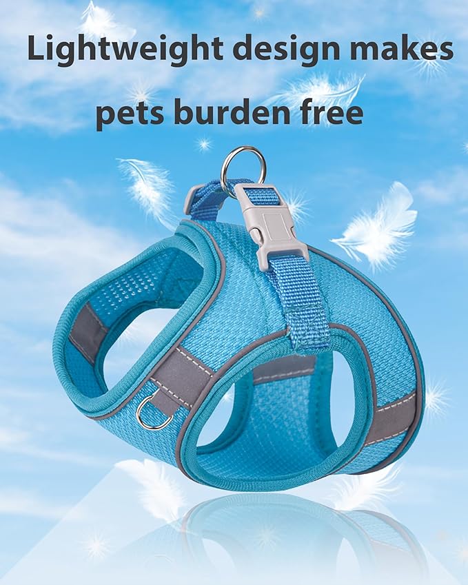 Dog Harness for Small Medium Sized Dog, Step in Puppy Harness and Leash Set Training Walking. (Blue, XXS)
